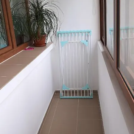 миг * 哈斯科沃