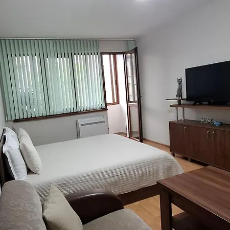 миг * 哈斯科沃